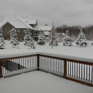 Meet your Posher, Kevin